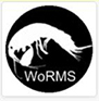 WORMS.jpg